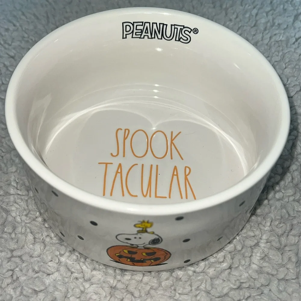 New Rae Dunn Halloween peanuts snoopy dog food bowl